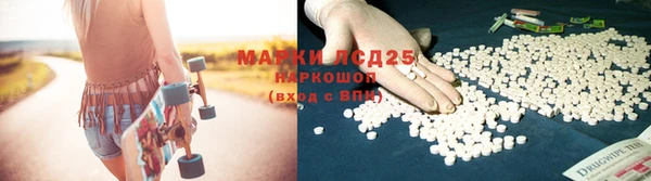 PSILOCYBIN Зеленокумск